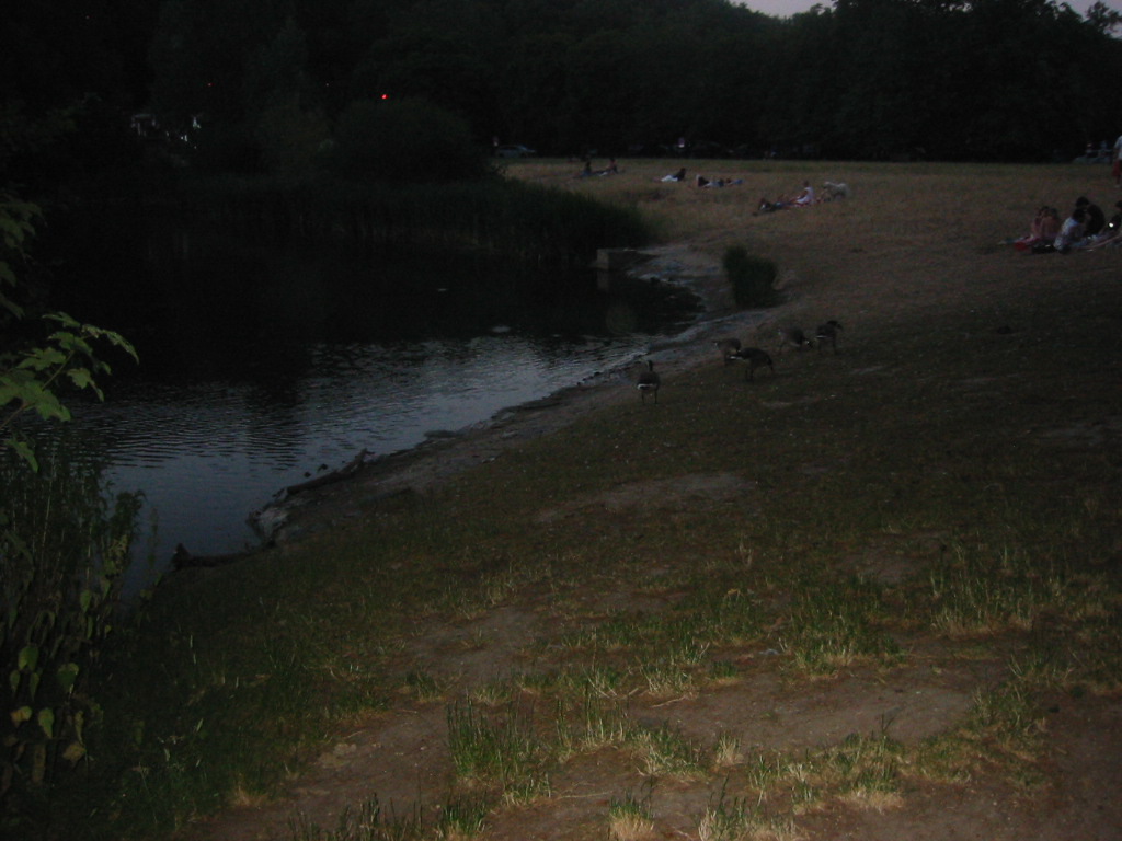 IMG_2349.JPG