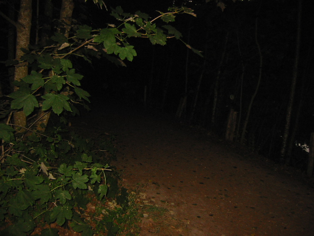 IMG_2350.JPG