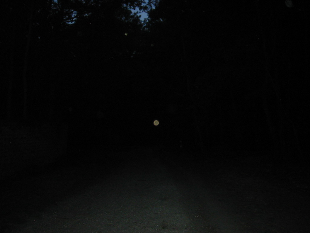 IMG_2352.JPG